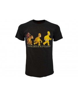 T-Shirt Simpsons Sapiens - SIMSAP.NR