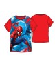 Box 12pz  T Shirt Spiderman - SPIBO6