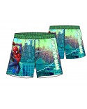 Box 12pz Costumi Spiderman - SPICOS7