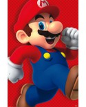 Poster Nintendo Super Mario PP34104 - PSSMB1