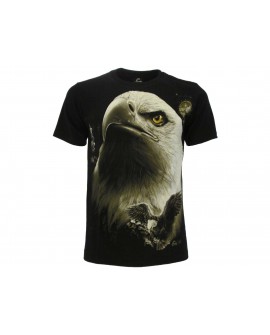 T-Shirt Animali Aquila di mare testabianca - ANAQ9