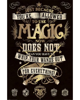 Poster Harry Potter PP33920 - PSHP4