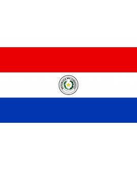 Bandiera Paraguay 100X140 - BANPAR