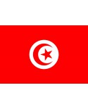Bandiera Tunisia 100X140 - BANTUN