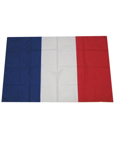 Bandiere Francia 100X140 - BANFRA